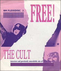 The Cult : Wild Flower